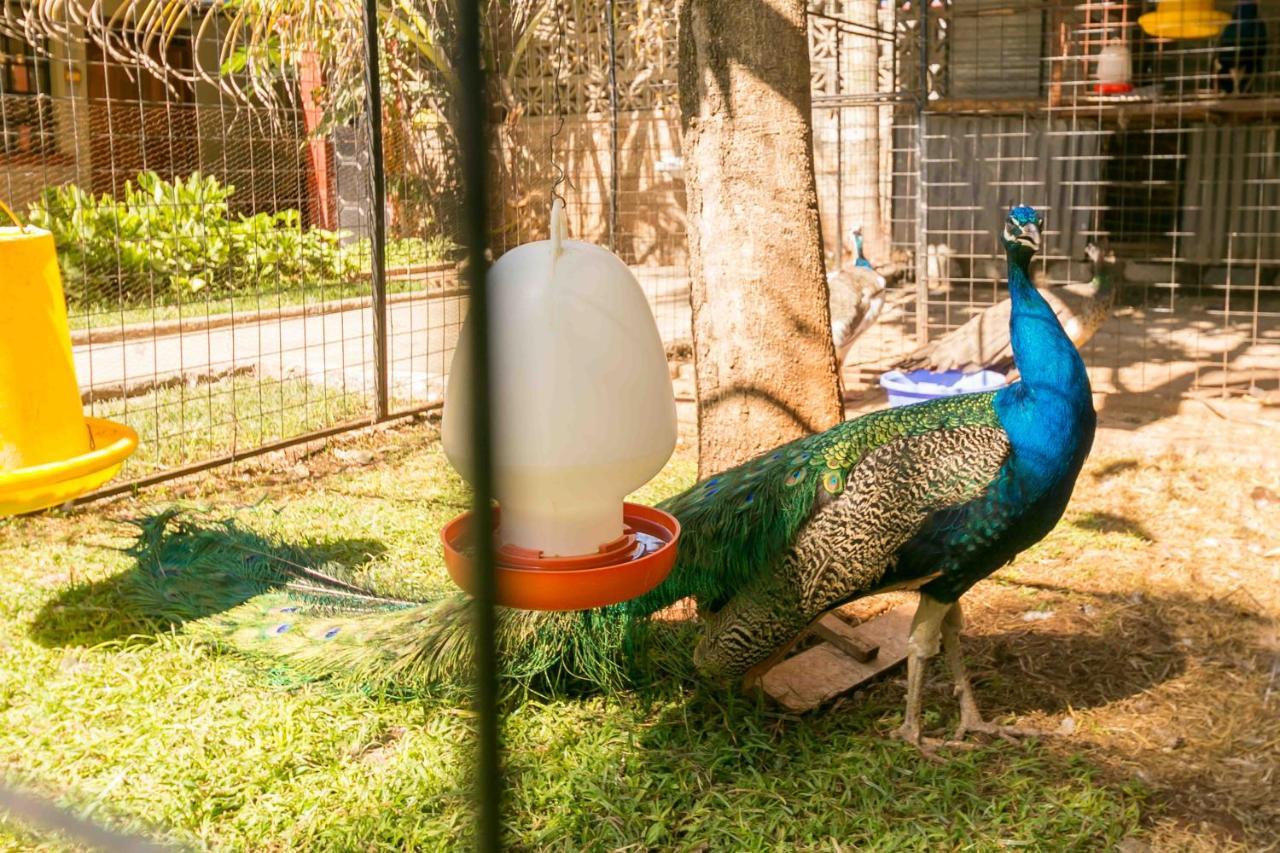 Fahari Gardens Hotel Nairobi Ngoại thất bức ảnh